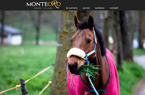 foto monteoro